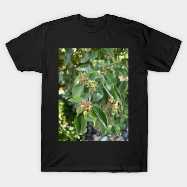 Plant T-Shirt by smirkingdesigns